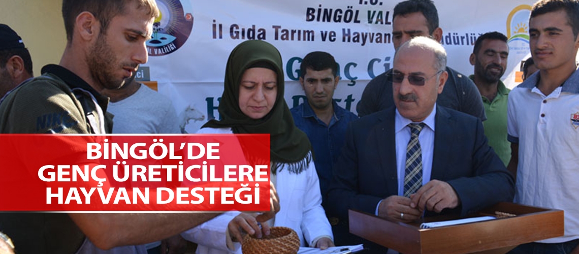 Bingöl’de genç üreticilere hayvan desteği