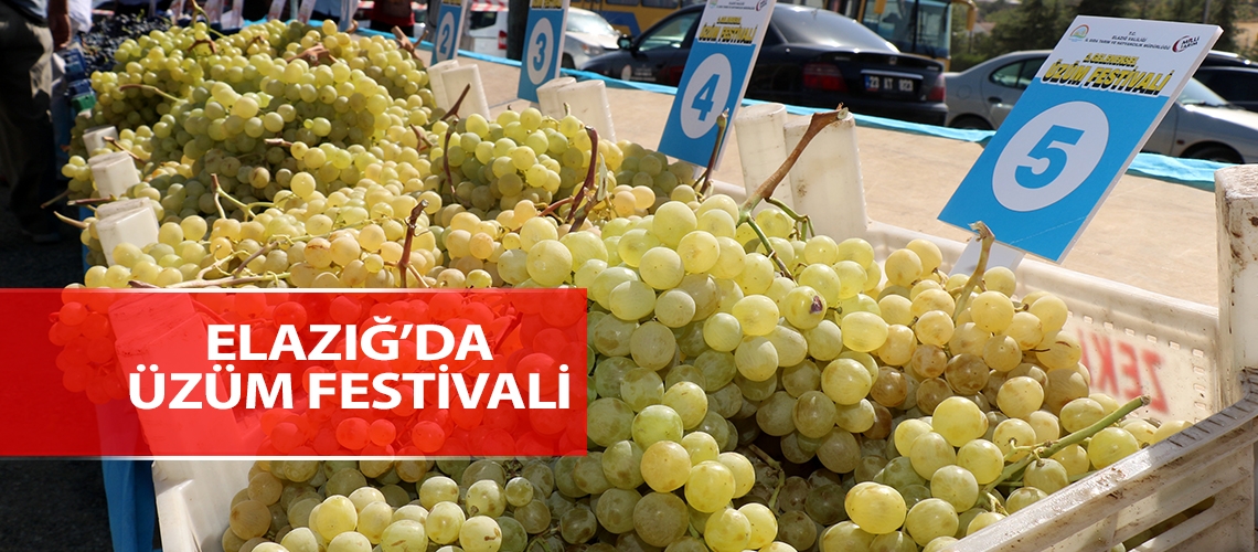 En güzel üzüm seçildi