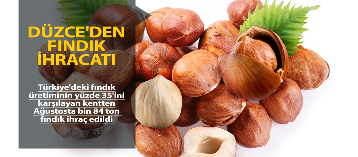 Düzce'den fındık ihracatı