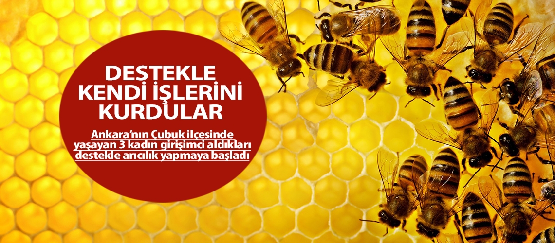 Genç girişimci kadınlar arıcılığa başladı