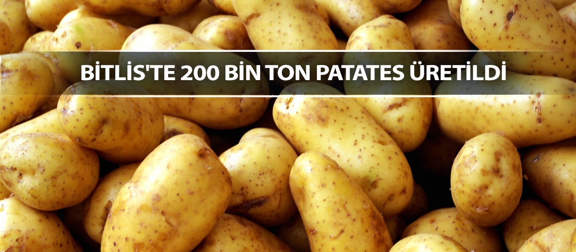 Bitlis'te 200 bin ton patates üretildi