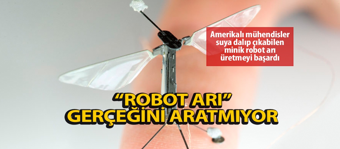 Robot arı gerçeğini aratmıyor