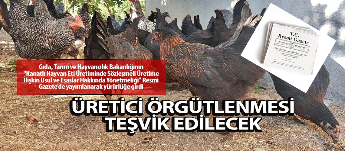 Üretici örgütlenmesi teşvik edilecek