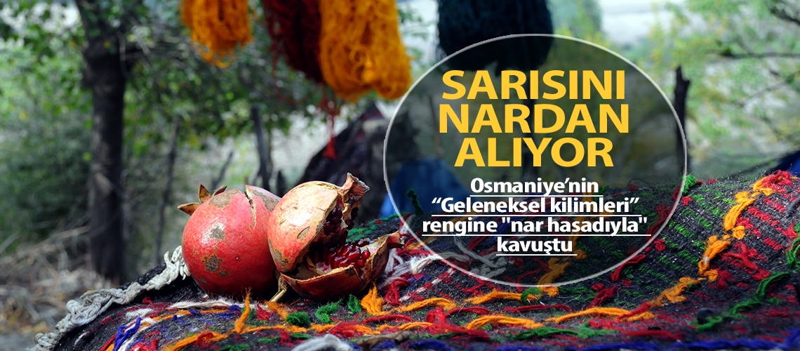 Osmaniye kilimi sarısını nardan alıyor