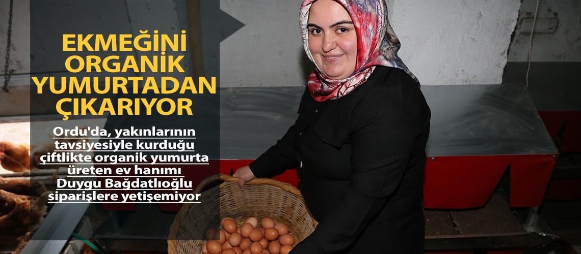 Ekmeğini organik yumurtadan çıkarıyor