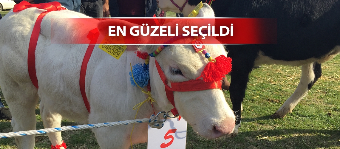 En güzeli seçildi