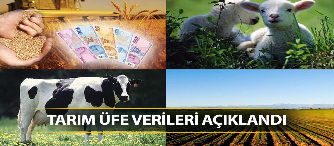Tarım ÜFE haziranda geriledi