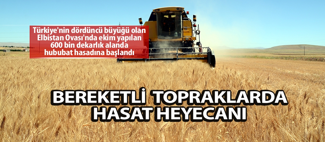Bereketli topraklarda hasat heyecanı
