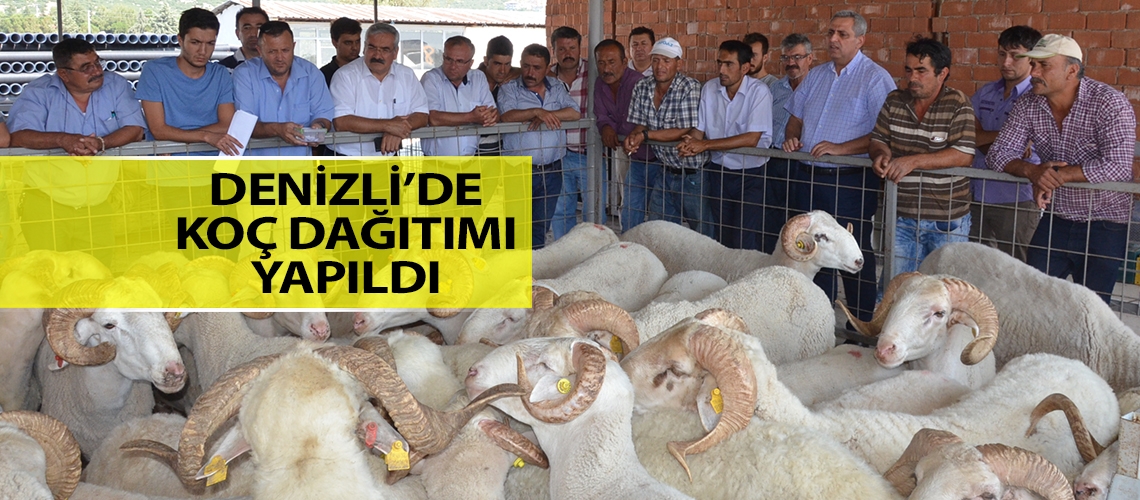 Denizli’de üreticilere destek sürüyor