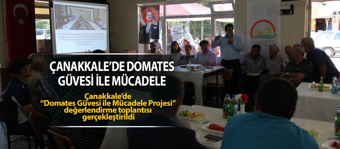 Domates güvesi ile mücadele projesi