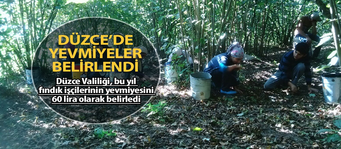 Düzce’de yevmiyeler belirlendi