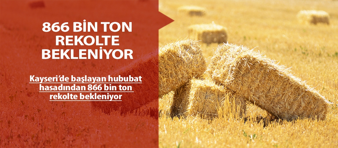 Kayseri’de hububat hasadı başladı