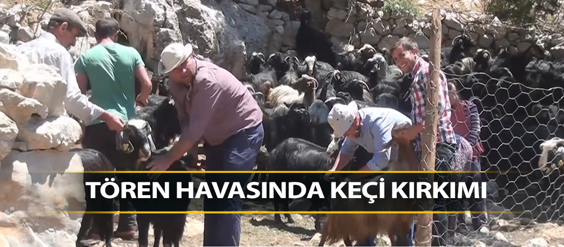 Keçi kırkma seromonisi