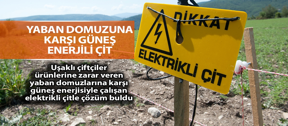 Yaban domuzuna karşı güneş enerjili çit