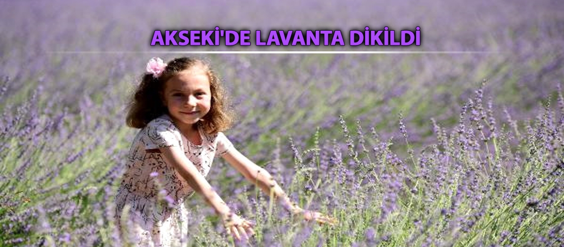 Akseki'de lavanta dikildi
