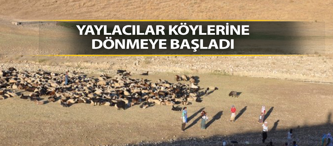 Yaylacılar köylerine dönmeye başladı