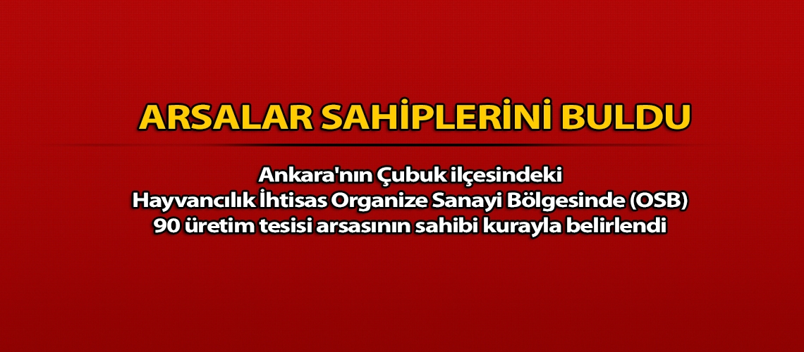 Arsalar sahiplerini buldu