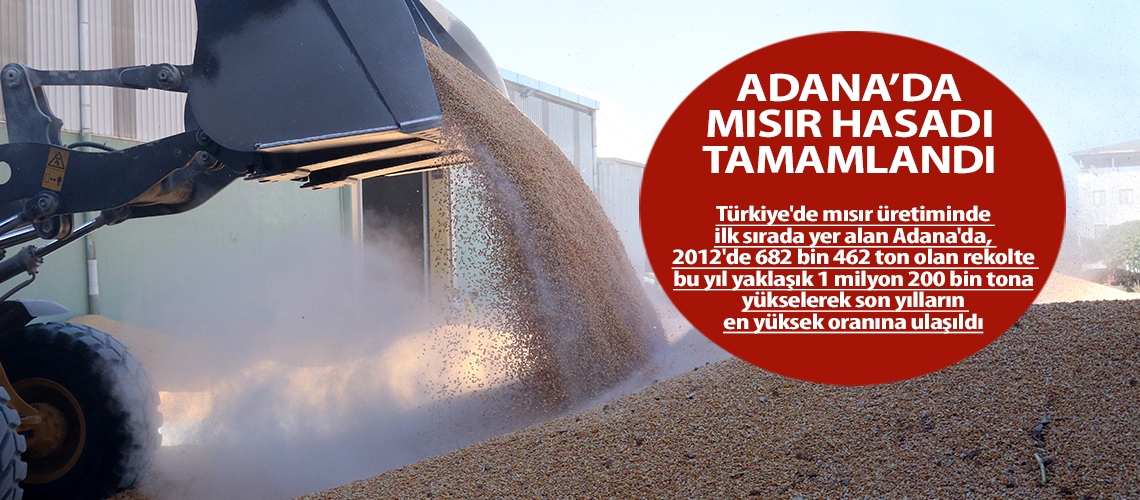 Mısır üretiminde son yılların en yüksek oranı