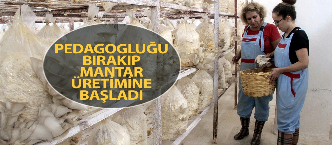 Pedagogluğu bırakıp mantar üretimine başladı