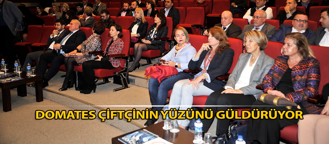 Domates çiftçinin yüzünü güldürüyor