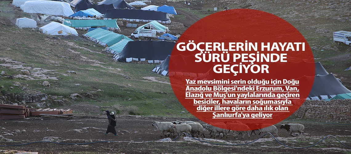 Göçerlerin hayatı sürü peşinde geçiyor