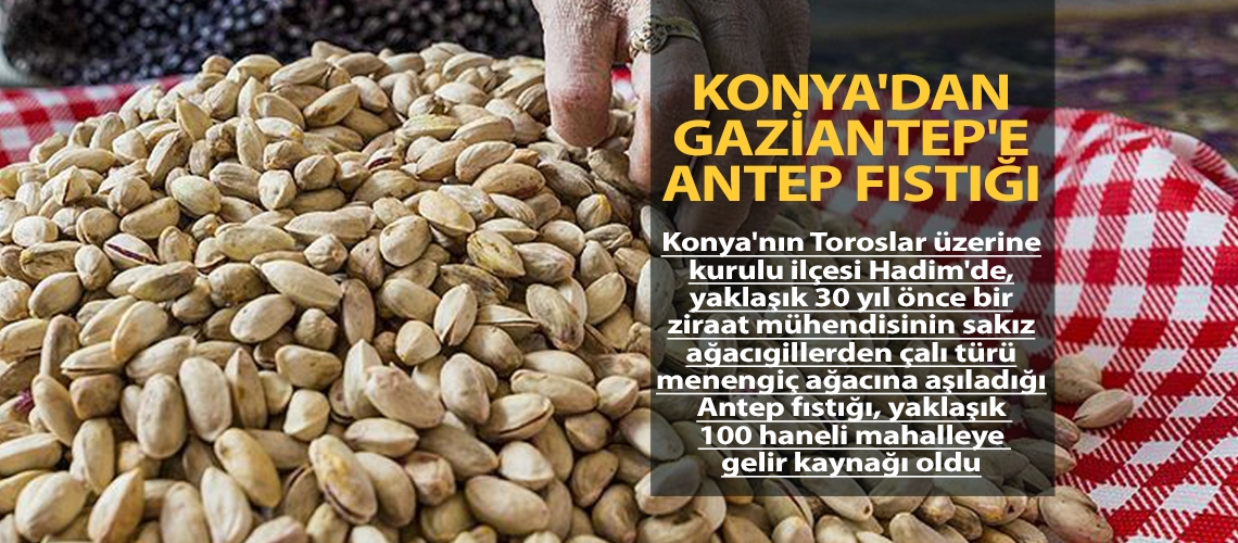 Konya'dan Gaziantep'e Antep fıstığı
