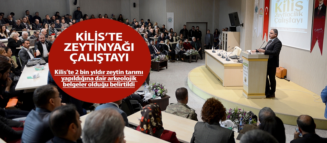 Kilis’te 2 bin yıllık zeytin tarımı