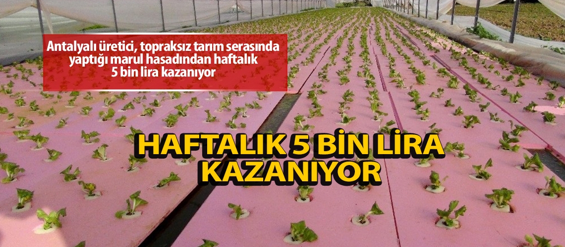 Topraksız serayla kazancını artırdı