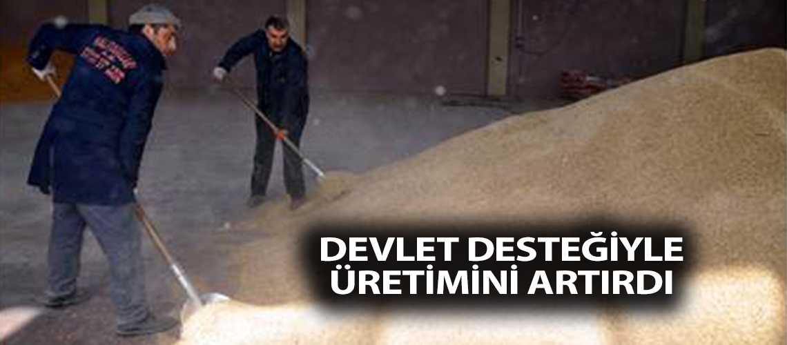 Devlet desteğiyle üretimini artırdı
