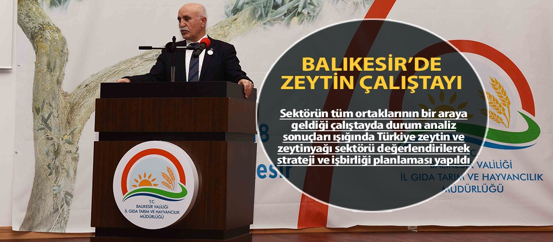 Balıkesir’de zeytin çalıştayı
