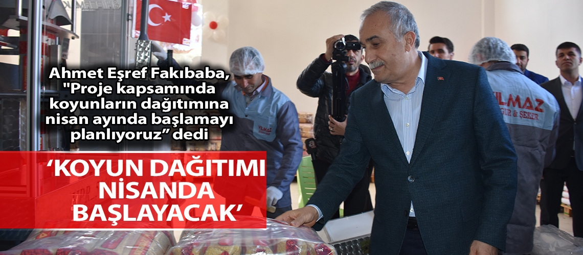 ‘Koyun dağıtımı nisanda başlayacak’