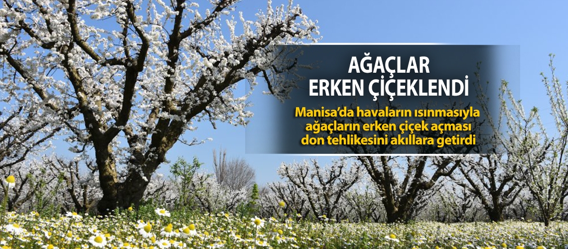 Erken çiçeklenme çiftçiyi tedirgin etti