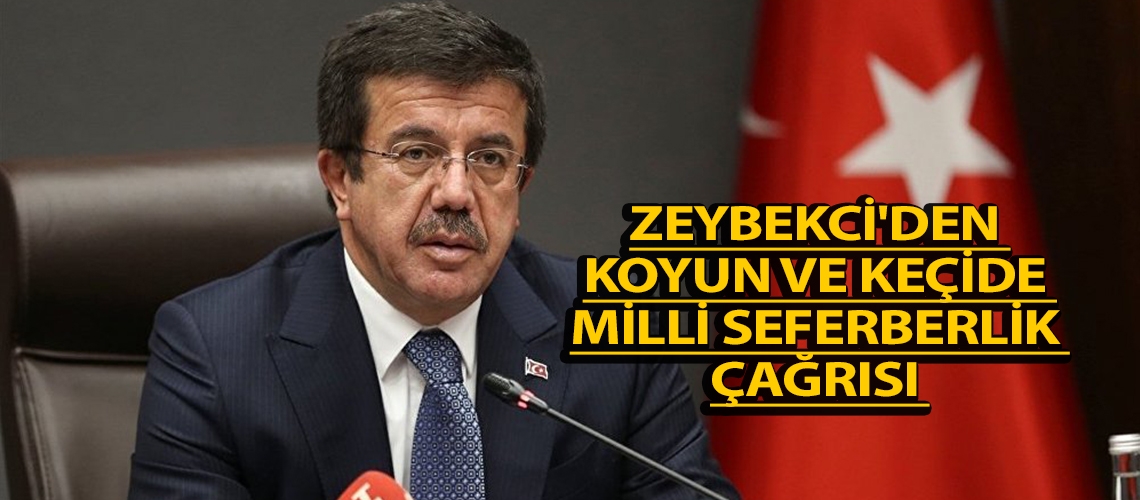 Zeybekci'den koyun ve keçide milli seferberlik çağrısı