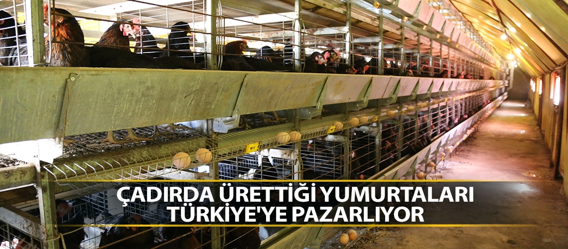 Çadırda ürettiği yumurtaları Türkiye'ye pazarlıyor
