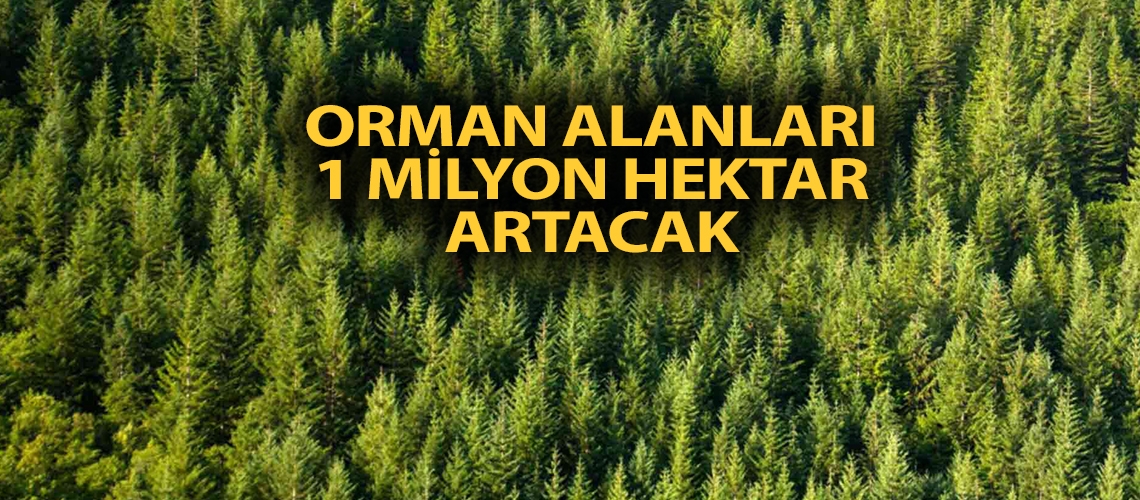 Orman alanları 1 milyon hektar artacak