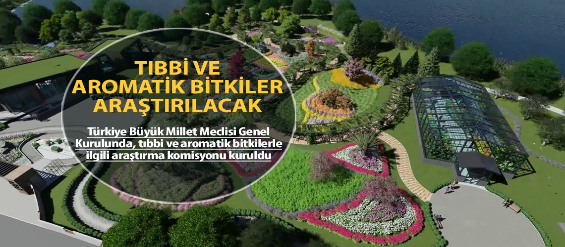 Tıbbi ve aromatik bitkiler araştırılacak