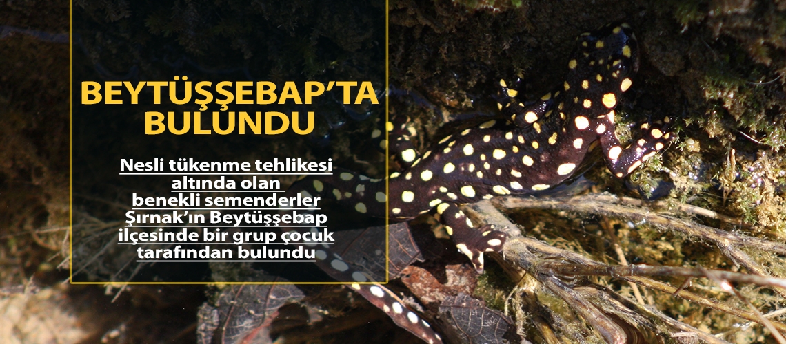 Beytüşşebap’ta bulundu