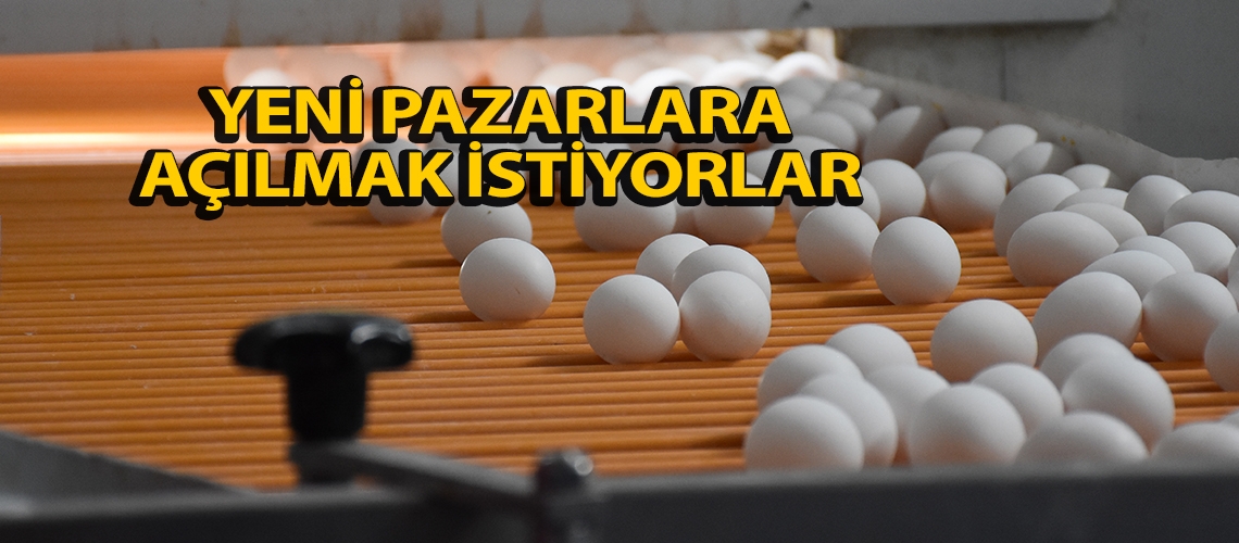 Yeni pazarlara açılmak istiyorlar