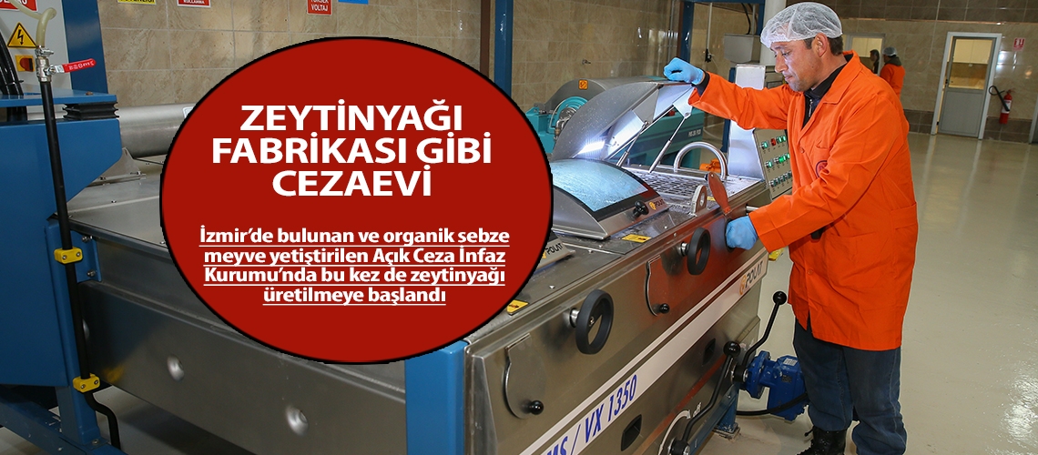 Zeytinyağı fabrikası gibi cezaevi