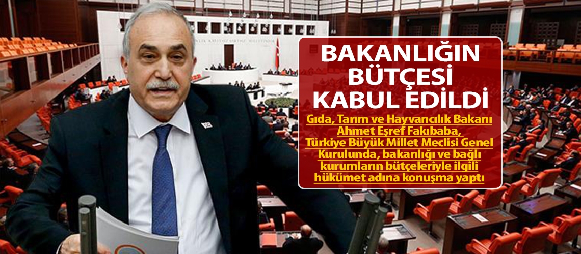 Bakanlığın bütçesi kabul edildi