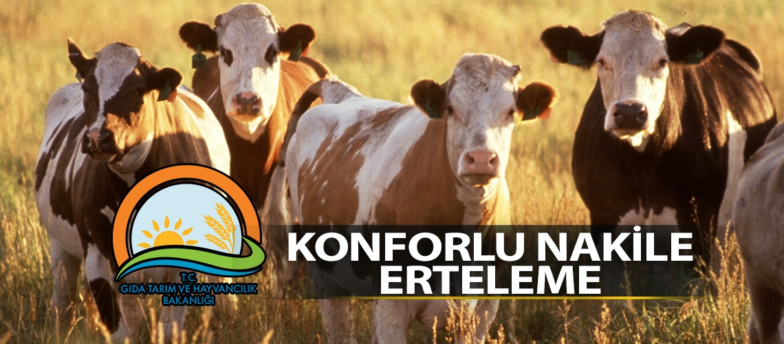 Konforlu nakile erteleme