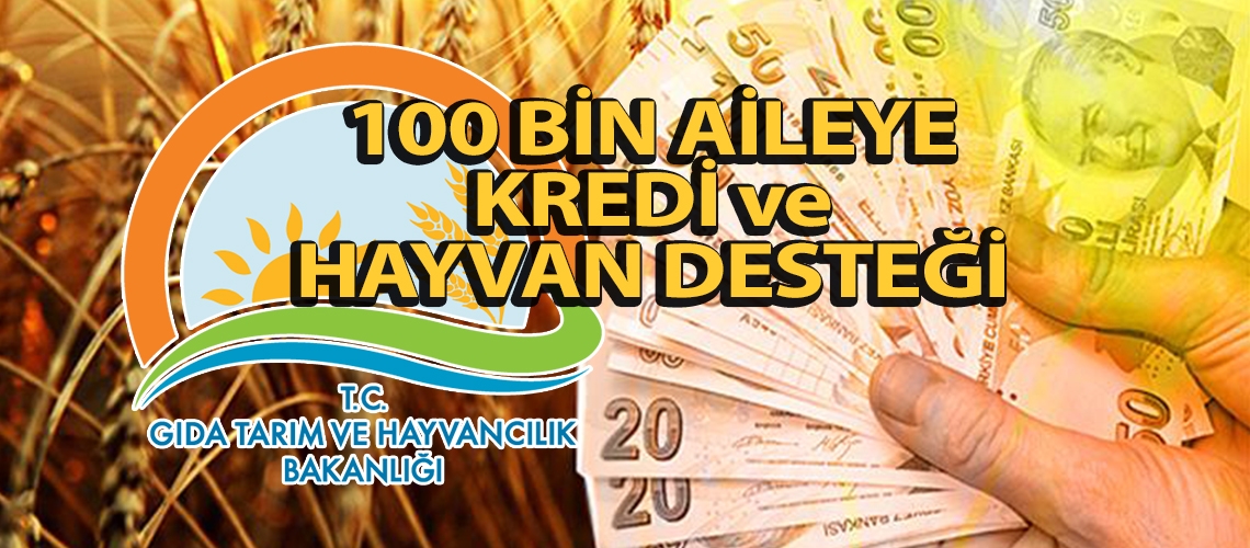 100 bin aileye kredi ve hayvan desteği