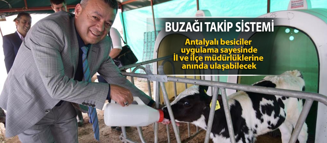 Buzağı takip sistemi android uygulaması hayata geçti