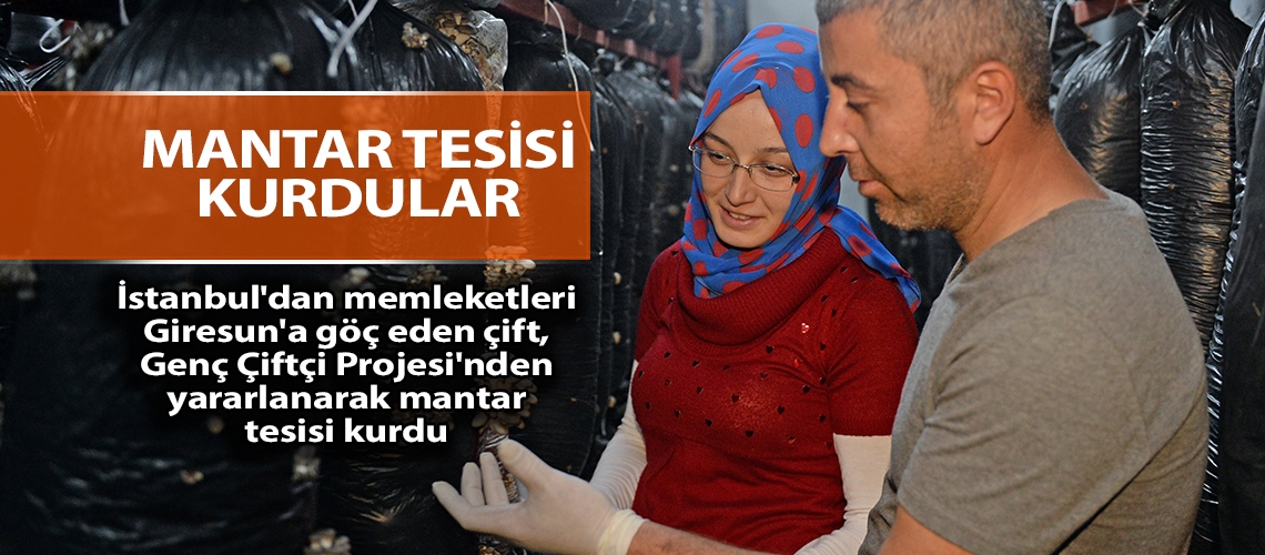 Mantar tesisi kurdular