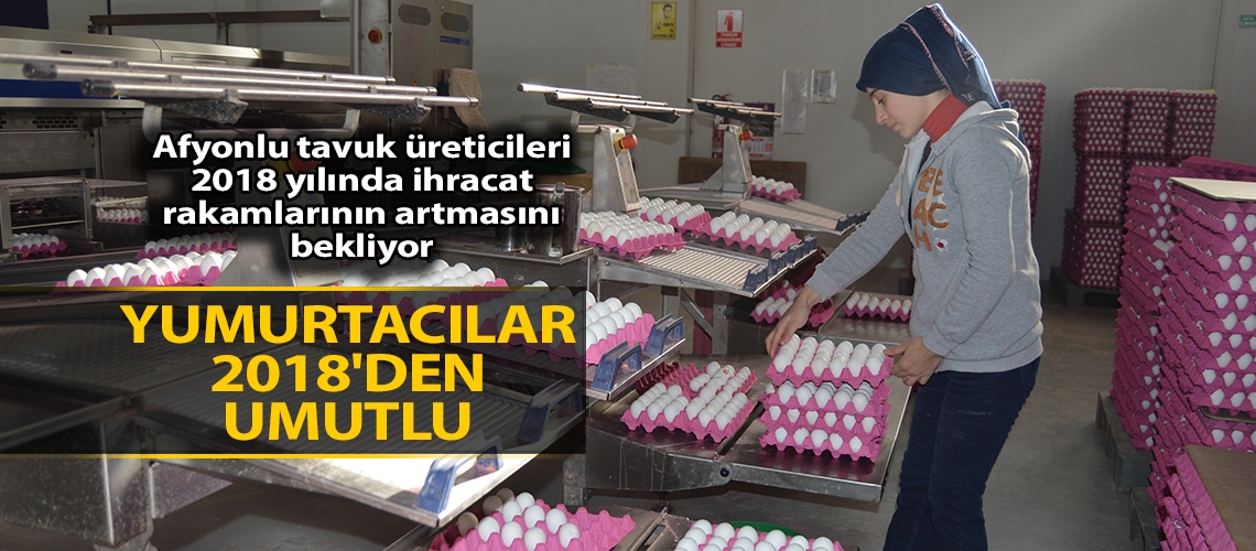Yumurtacılar 2018'den umutlu
