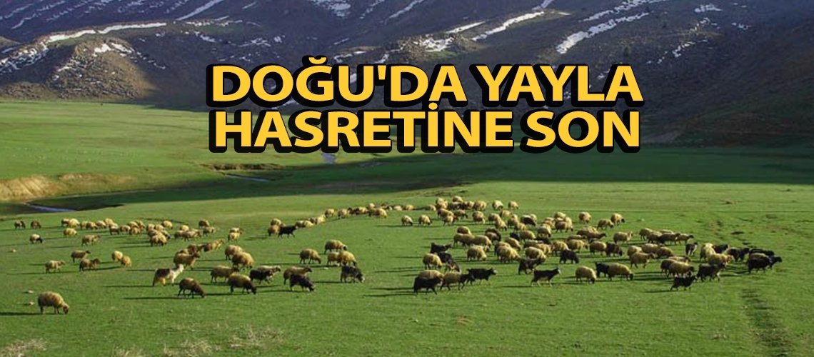 Doğu'da yayla hasretine son