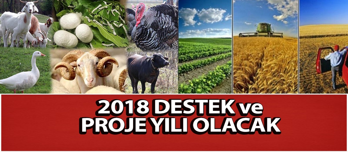 2018 destek ve proje yılı olacak