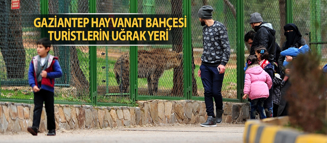 Gaziantep Hayvanat Bahçesi turistlerin uğrak yeri