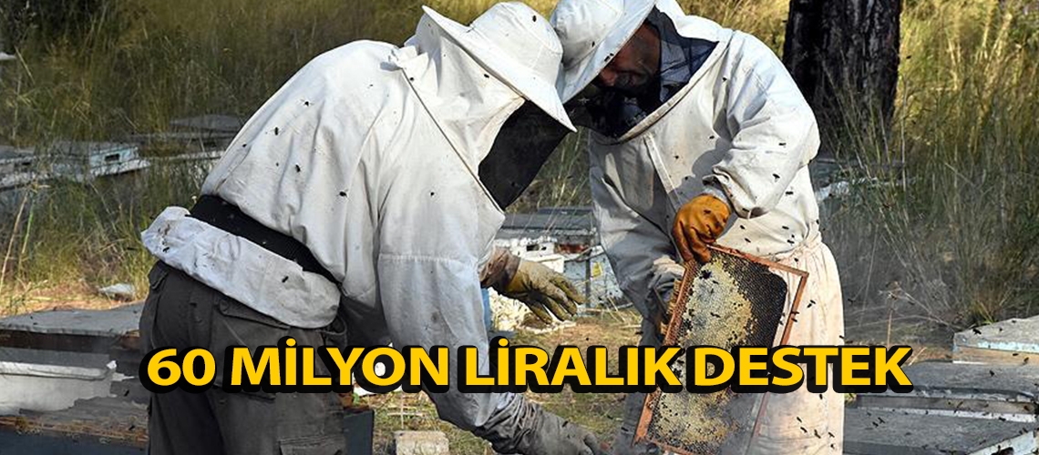 60 milyon liralık destek