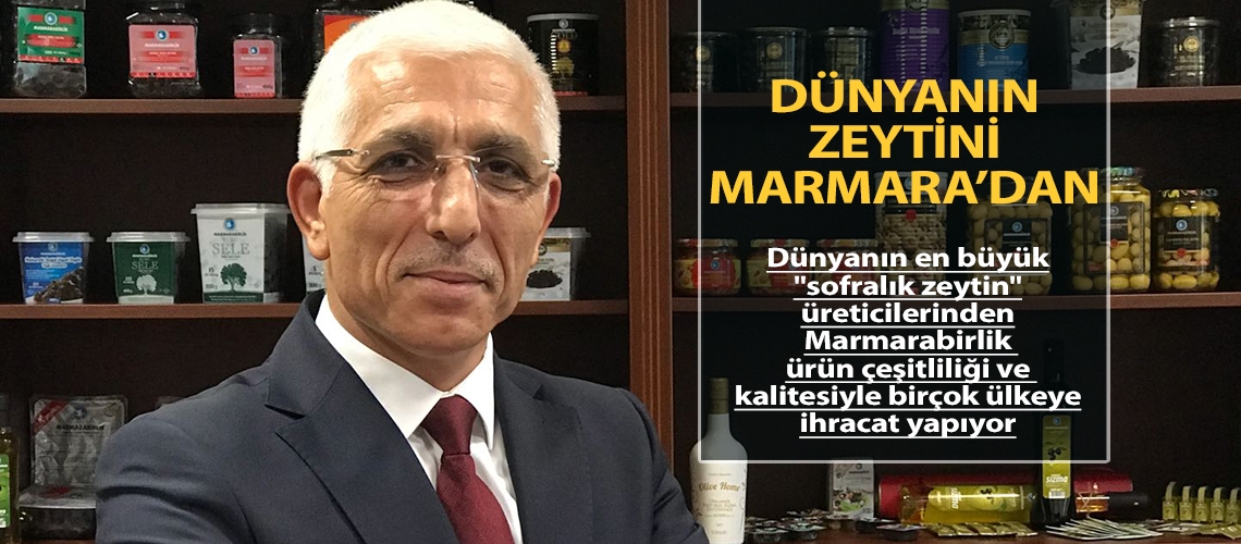 Dünyanın zeytini Marmara’dan